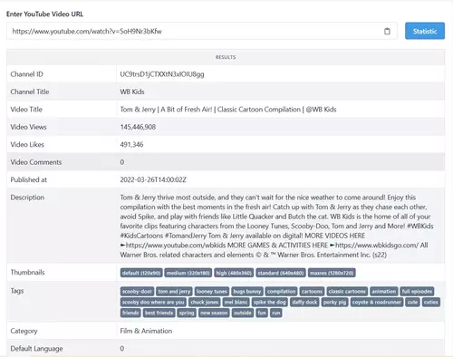 YouTube Video Statistics - Free Full Video Audit Step-3